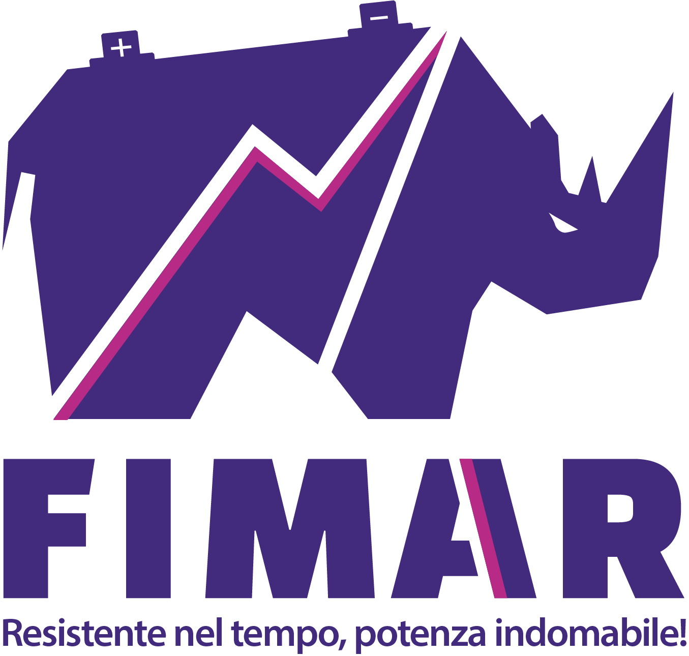 Batteria LiFeP04 12,8V 80AH Fimar