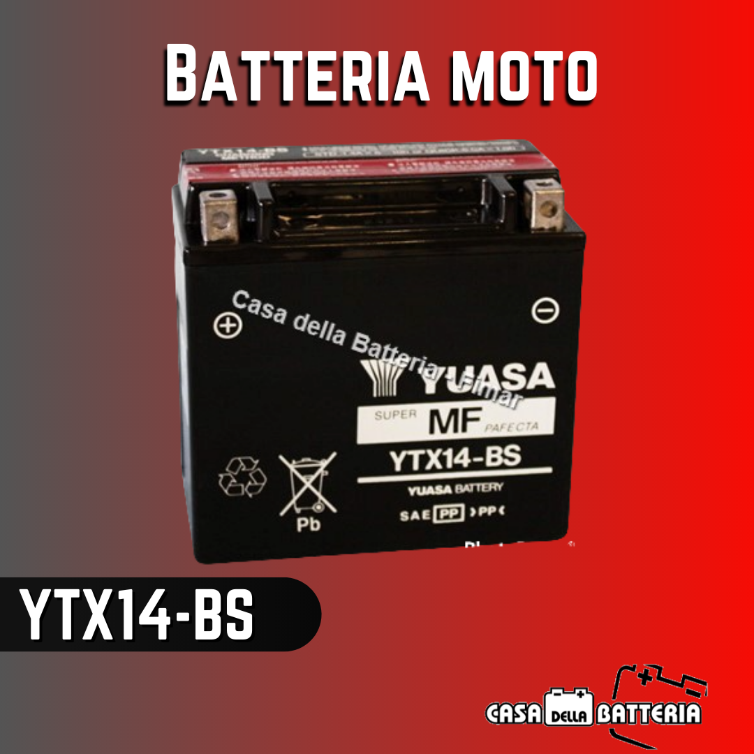 Batteria avviamento YTX14-BS Yuasa