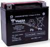Batteria avviamento YTX20HL-BS Yuasa